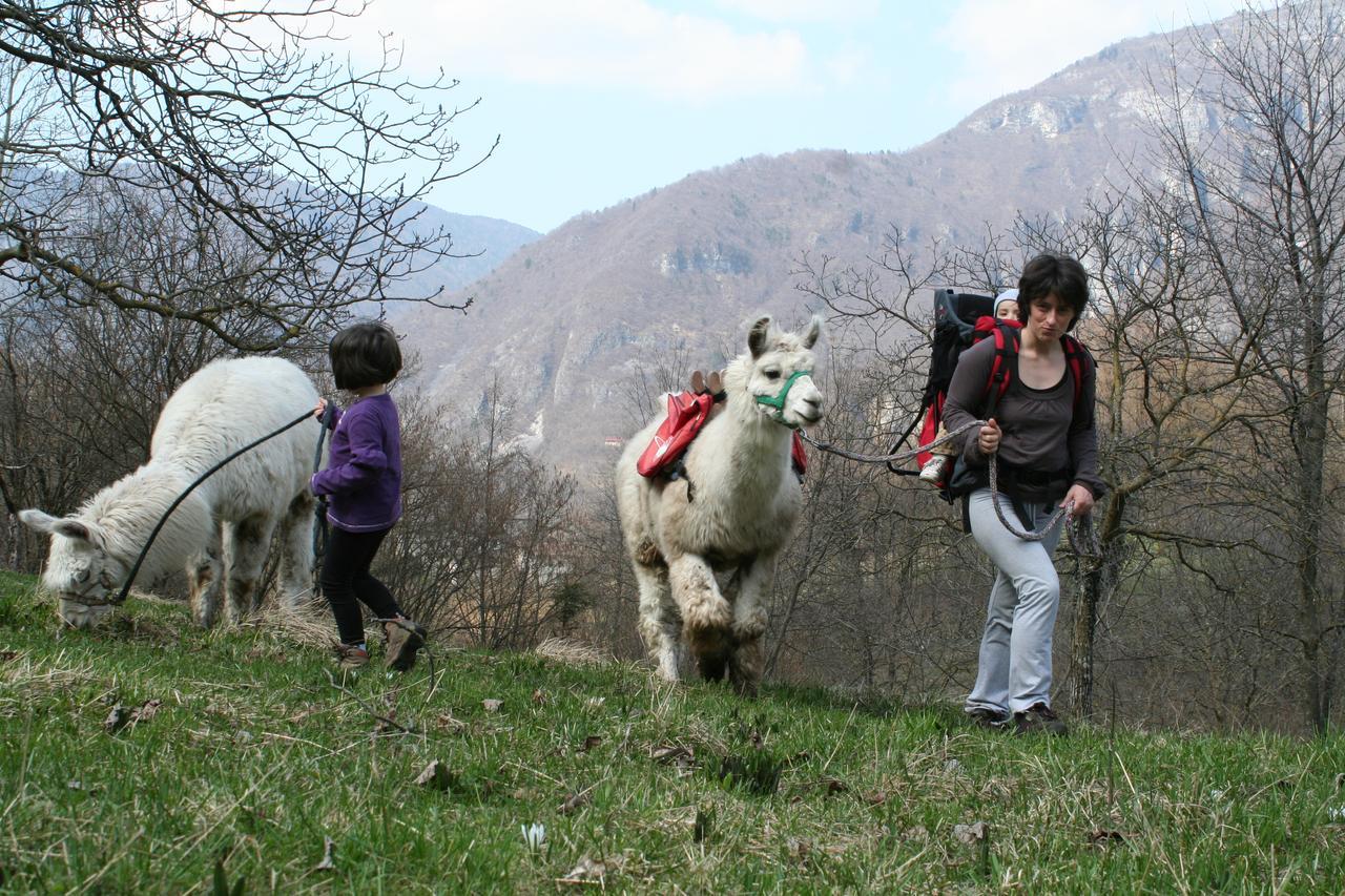 Il Capriolo Felice - Agriturismo Lastebasse Extérieur photo